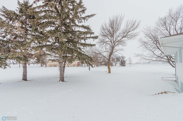 view of yard layered in snow