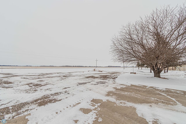 view of yard covered in snow