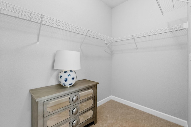 spacious closet featuring carpet floors