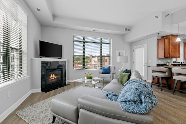 living room featuring light wood-type flooring, sink, and a fireplace