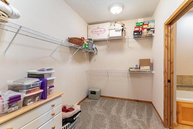 spacious closet with light colored carpet