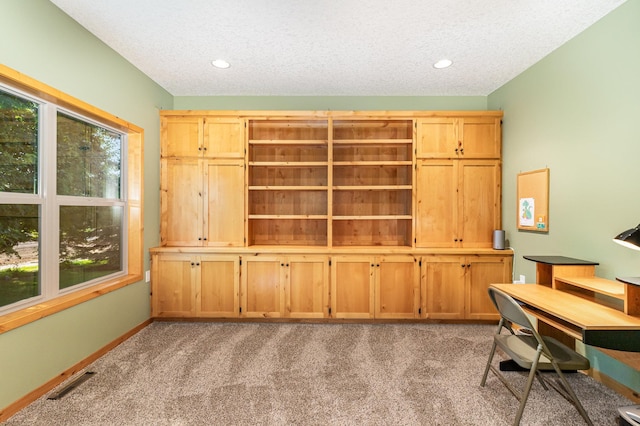 carpeted office space featuring plenty of natural light and a textured ceiling