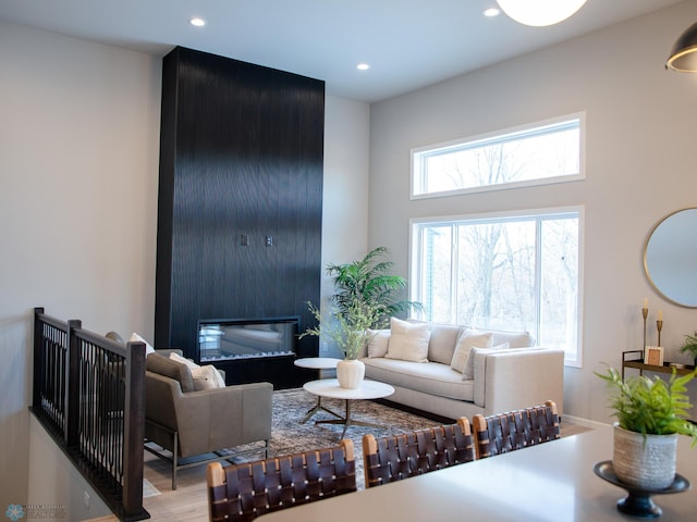 living room featuring a fireplace and light wood-type flooring