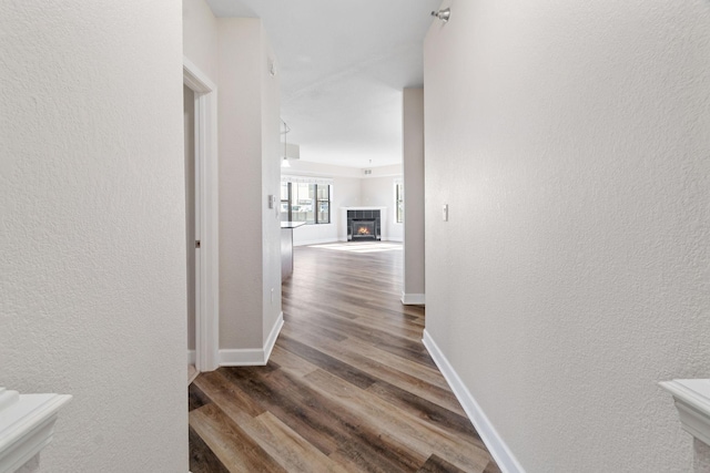 corridor with dark wood-type flooring