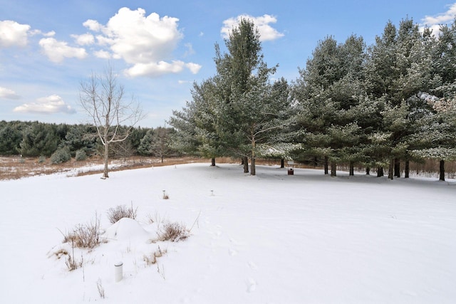 view of snowy yard