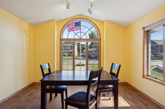 dining area with lofted ceiling, dark wood-type flooring, and a healthy amount of sunlight