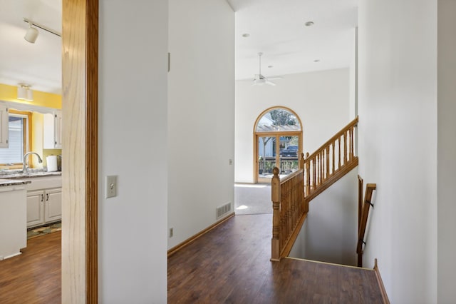 hall featuring sink, track lighting, and dark hardwood / wood-style floors