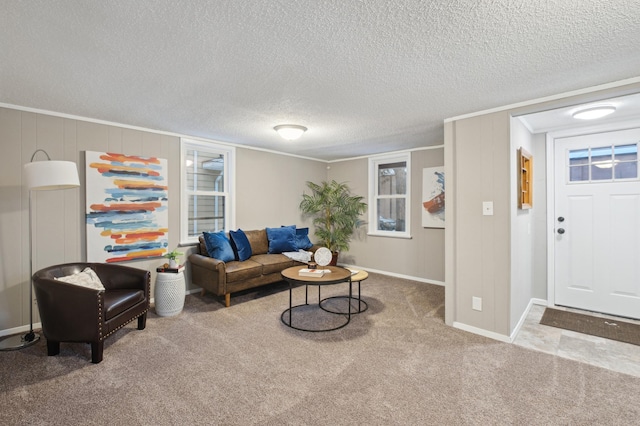 living room featuring carpet floors, a textured ceiling, and ornamental molding