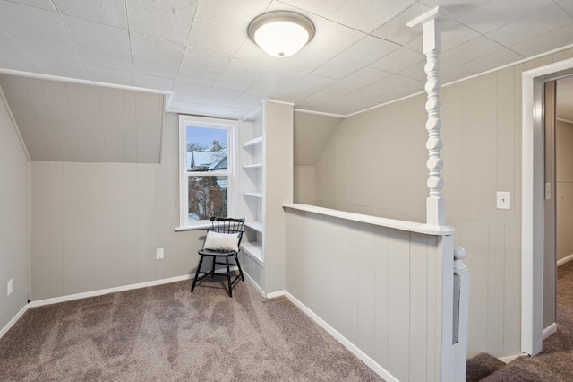 bonus room featuring carpet and built in shelves