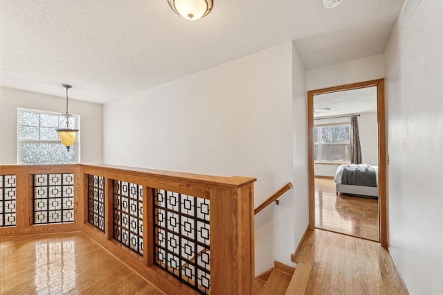 corridor featuring a textured ceiling and light hardwood / wood-style floors