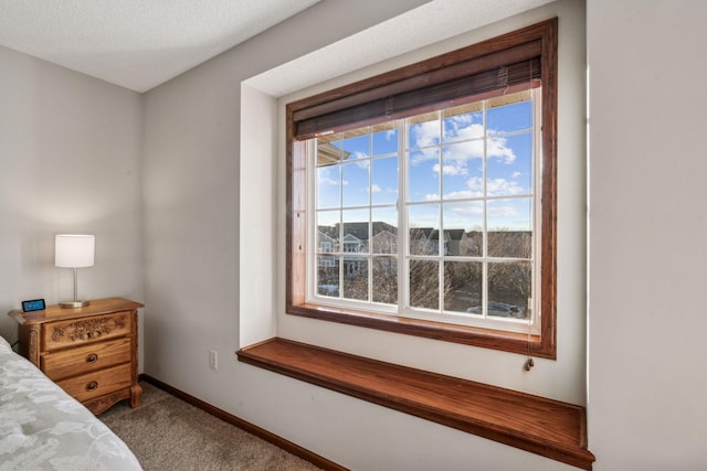 bedroom featuring carpet