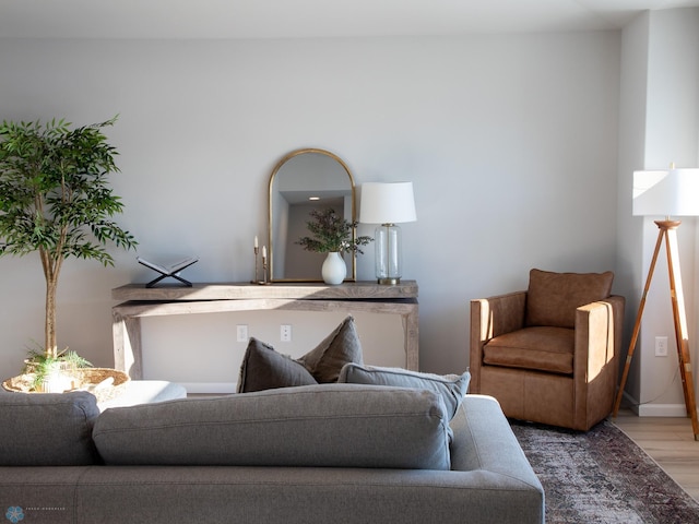 living room featuring wood-type flooring