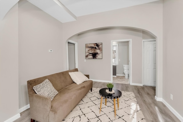 living room with light hardwood / wood-style floors