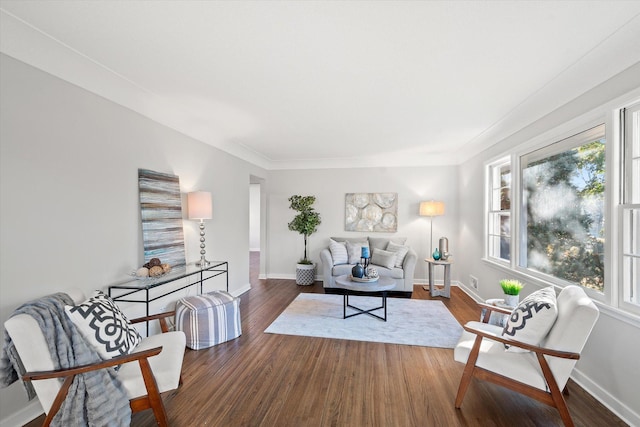 living room with dark wood-type flooring