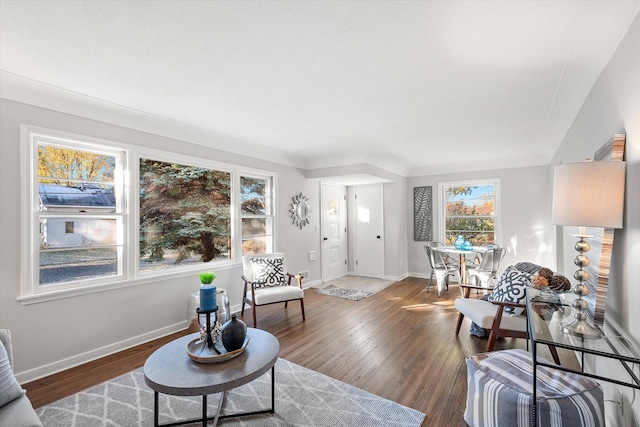 living room with dark hardwood / wood-style flooring