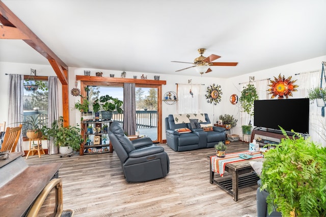 living room featuring ceiling fan and light wood-type flooring