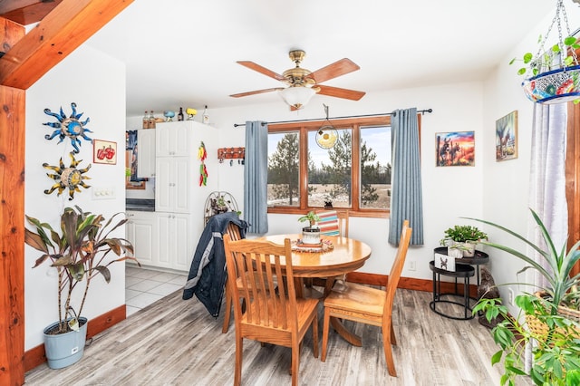 dining room with light hardwood / wood-style floors and ceiling fan