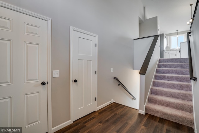 staircase featuring wood-type flooring