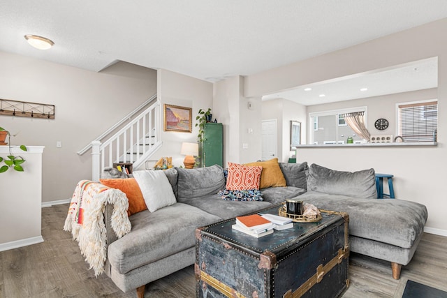 living room featuring wood-type flooring