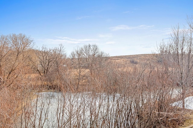 view of landscape