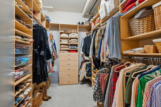 walk in closet featuring carpet floors