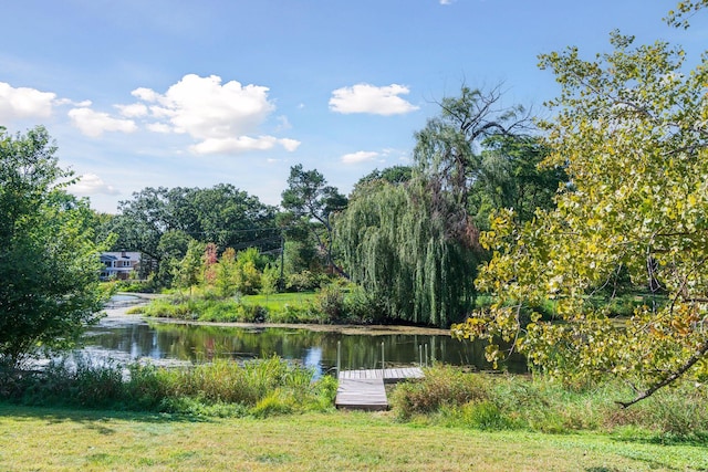 property view of water with a dock