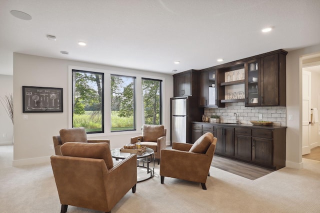 living room featuring sink and light carpet