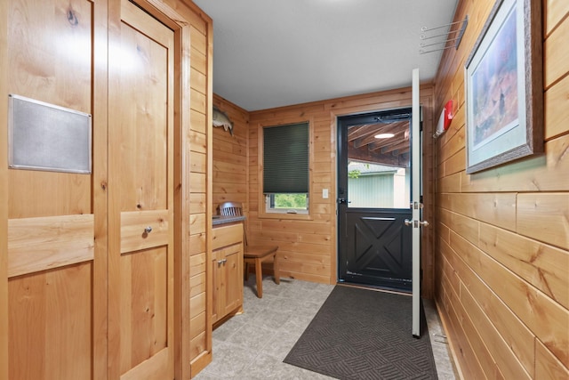 19018 Troy St NW, Elk River, MN 55330 - entryway featuring wooden walls