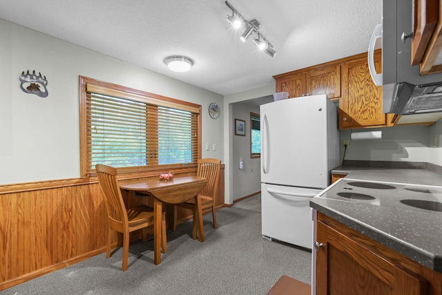 19018 Troy St NW, Elk River, MN 55330 - kitchen featuring freestanding refrigerator, stainless steel microwave, carpet floors, a textured ceiling, and brown cabinetry