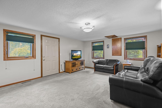 19018 Troy St NW, Elk River, MN 55330 - living room featuring light colored carpet and a textured ceiling