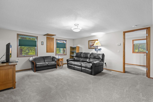 19018 Troy St NW, Elk River, MN 55330 - carpeted living area with a textured ceiling and plenty of natural light