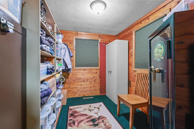 19018 Troy St NW, Elk River, MN 55330 - walk in closet featuring carpet