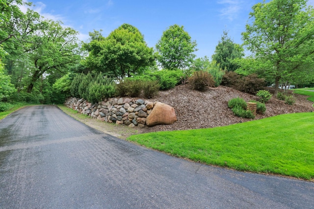 19018 Troy St NW, Elk River, MN 55330 - view of road