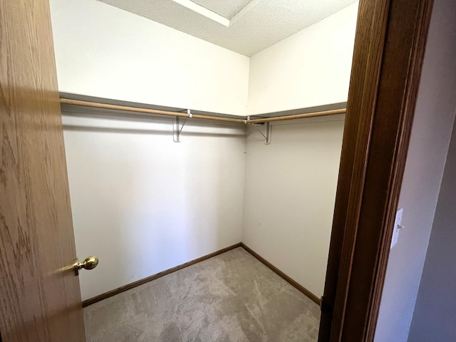 spacious closet featuring light carpet