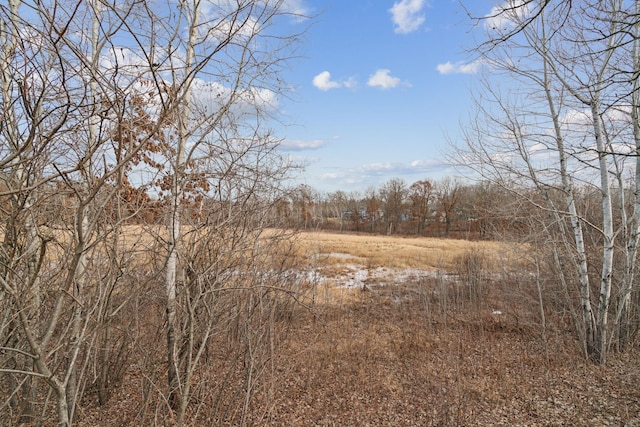 view of local wilderness