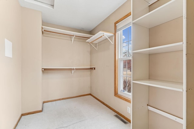 walk in closet with carpet floors