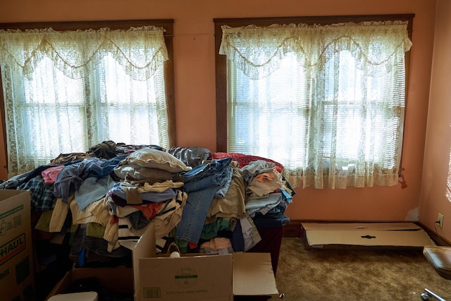 bedroom featuring carpet floors and multiple windows