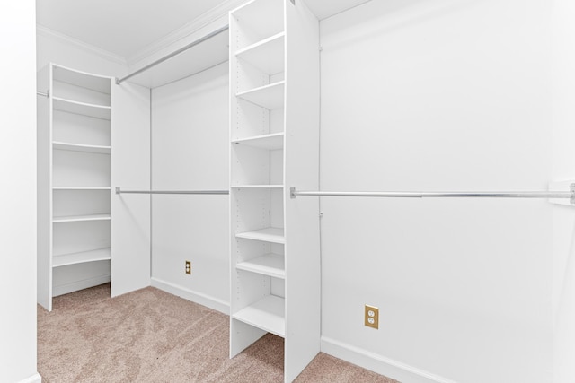 spacious closet featuring light colored carpet