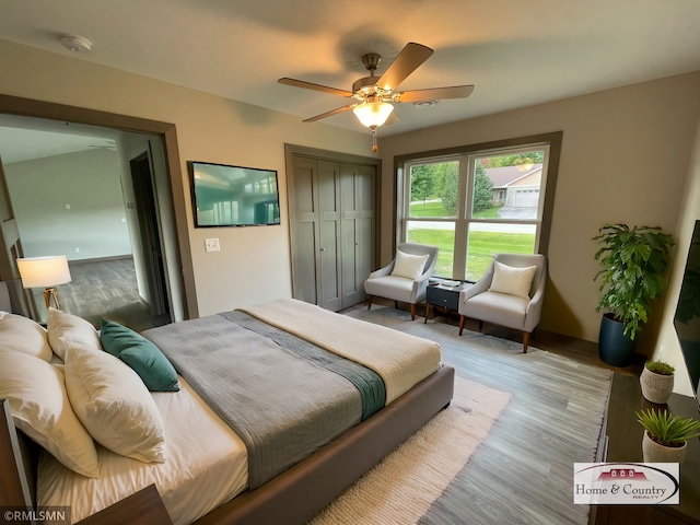 bedroom with ceiling fan, light hardwood / wood-style floors, and a closet