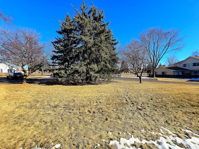 view of yard featuring a residential view