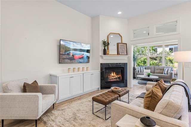 living room featuring light hardwood / wood-style flooring