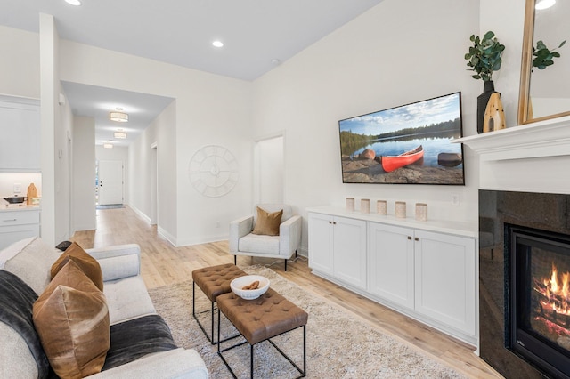 living room featuring light wood-type flooring