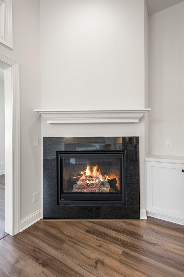 room details with hardwood / wood-style flooring