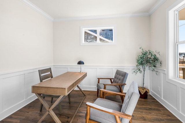 office space featuring dark hardwood / wood-style flooring and crown molding