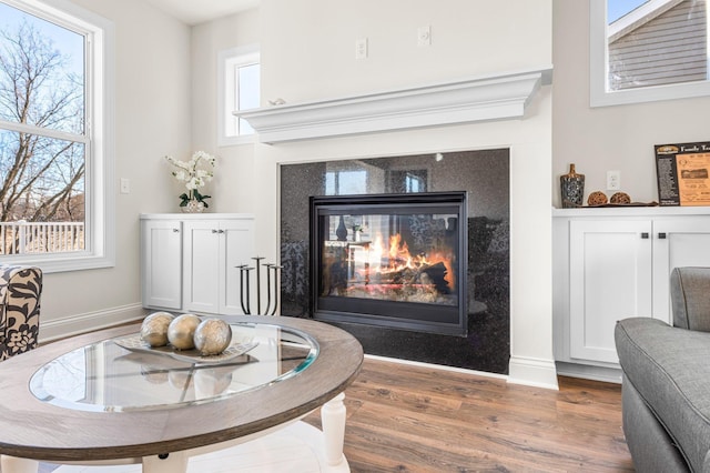 living area featuring hardwood / wood-style floors