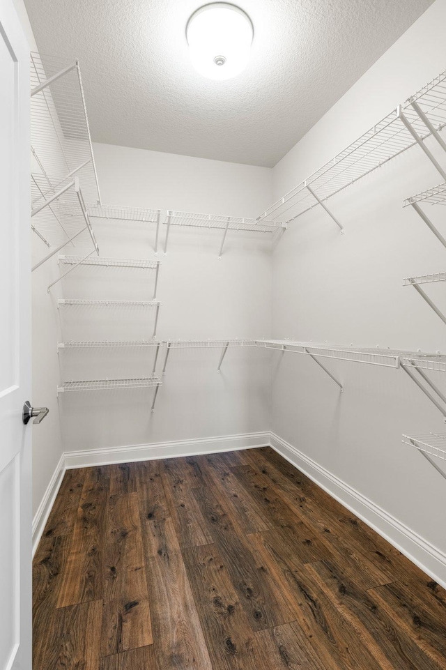 spacious closet with wood-type flooring