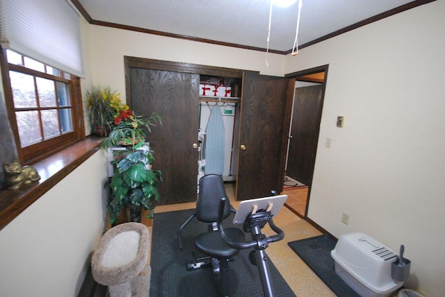 exercise room featuring crown molding