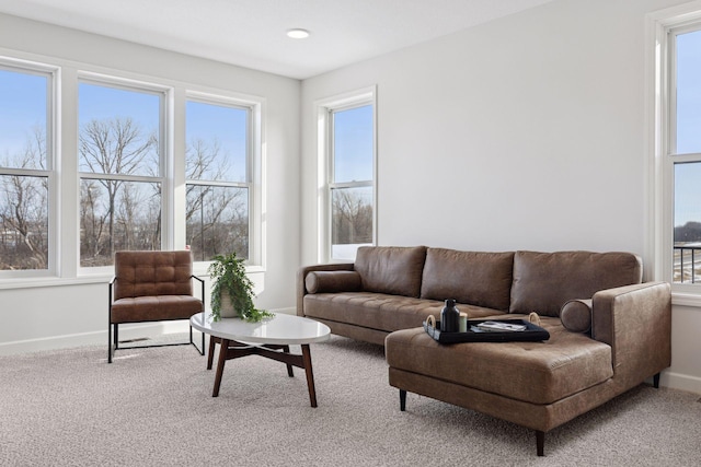 living area featuring baseboards and carpet floors