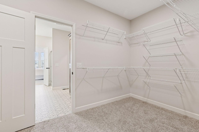 walk in closet featuring carpet flooring