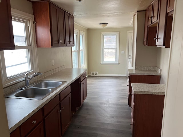 kitchen featuring crown molding, light hardwood / wood-style floors, and sink